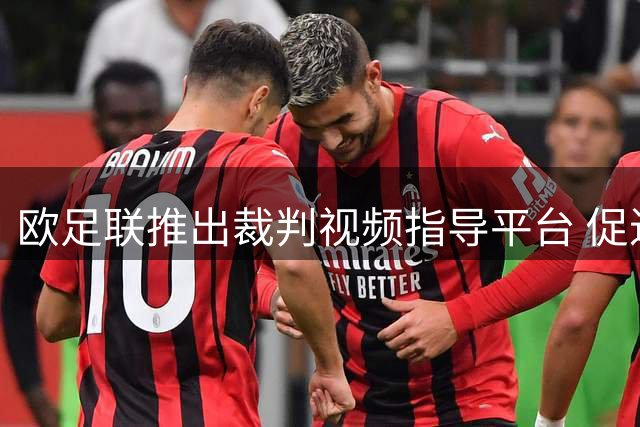 欧足联推出裁判视频指导平台 促进VAR判罚标准化